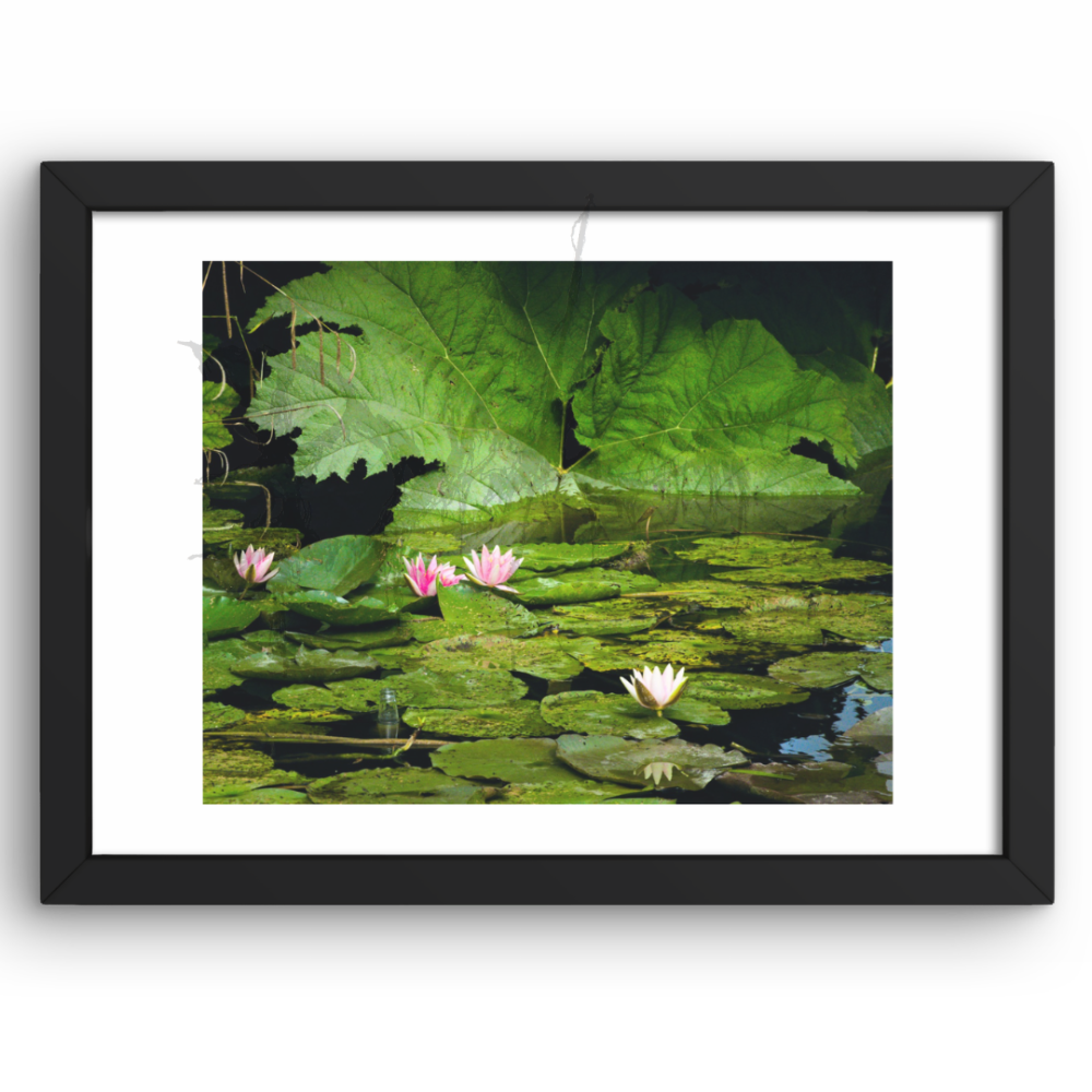 A Stage For Detritus - A4