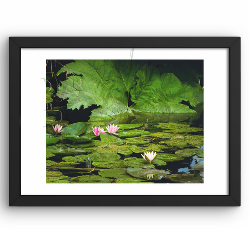 A Stage For Detritus - A4