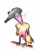 Bird Guy