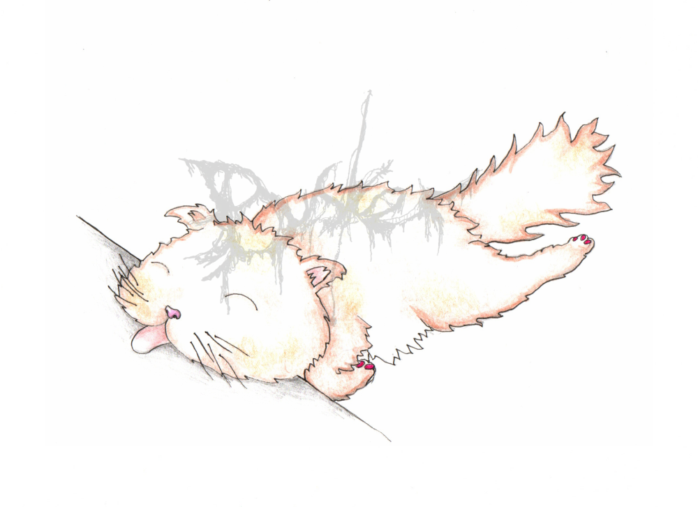 Howl’s Moving Cat