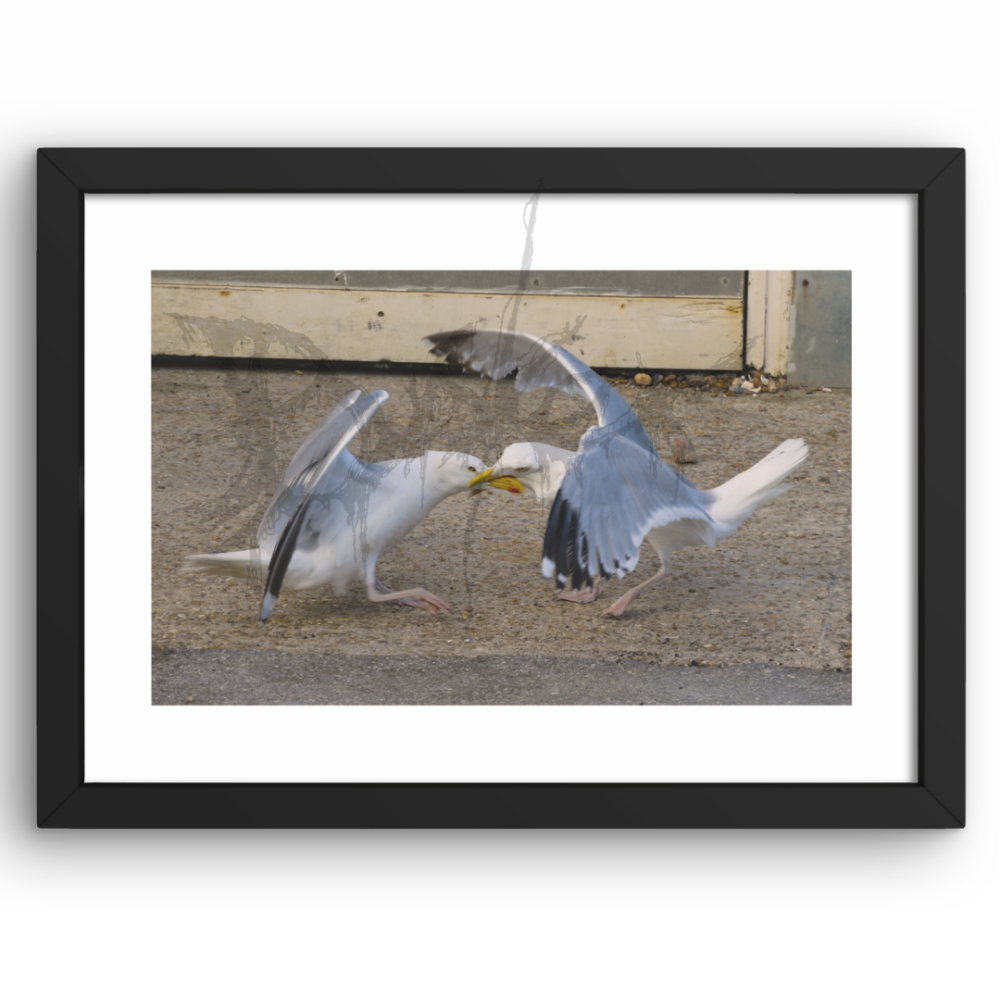 Is That A Chip? - A4