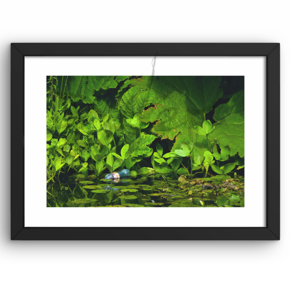 Not Love But Memory A4