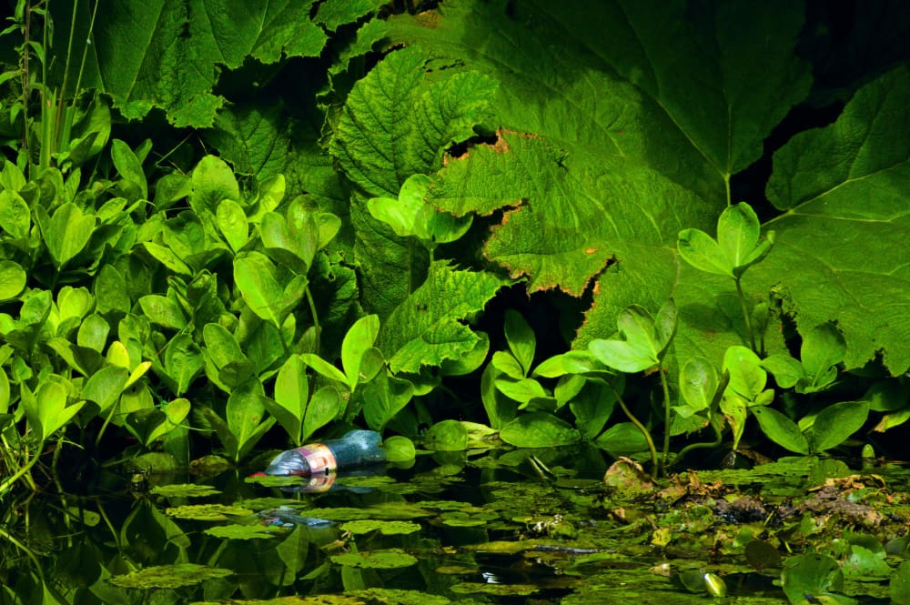 Not Love But Memory A4