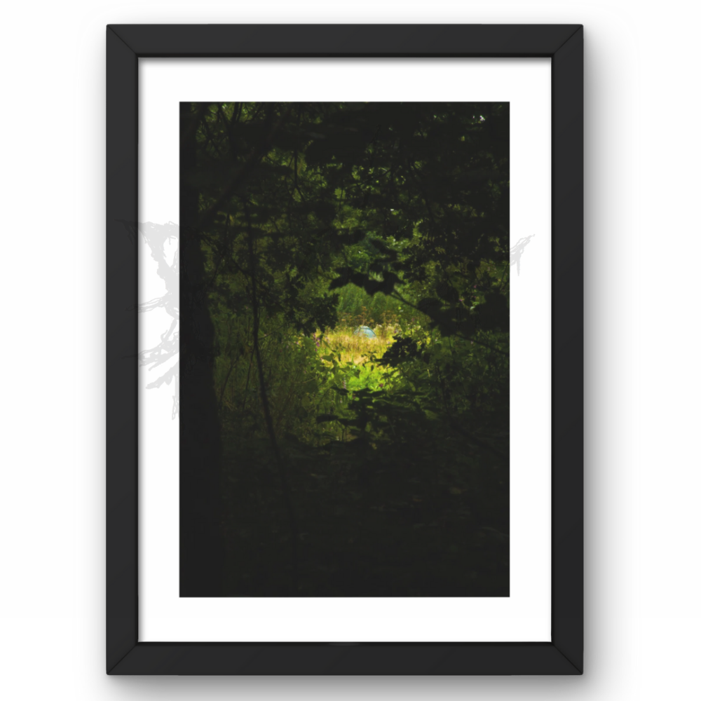 Signs Of Life - Home A4