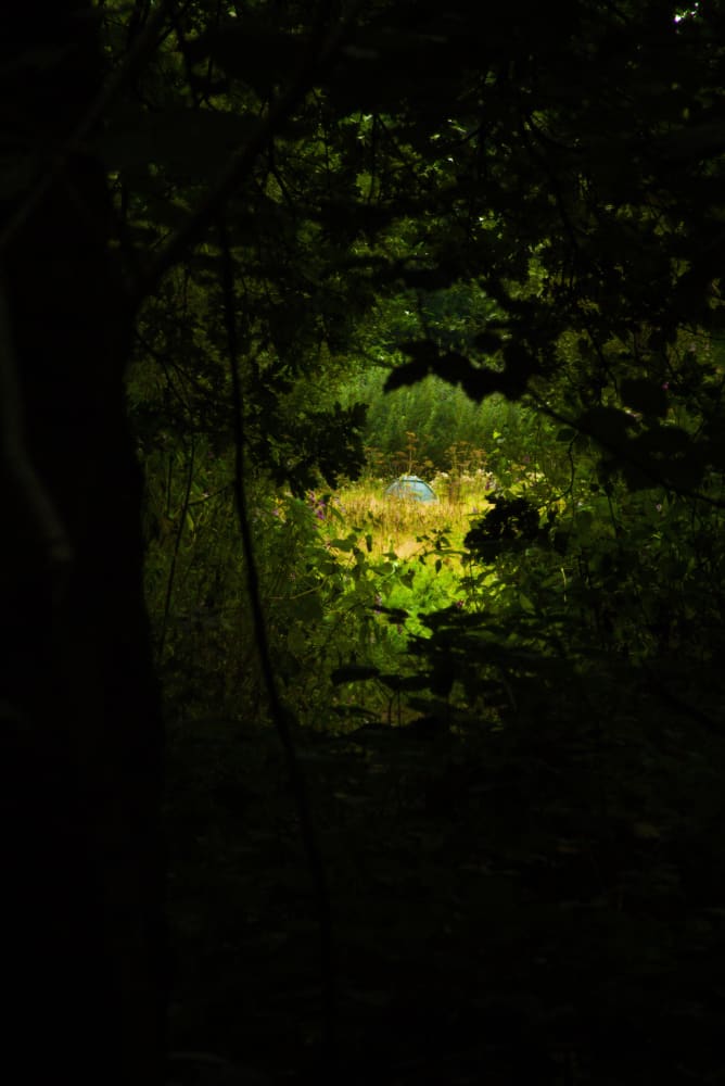 Signs Of Life - Home A4