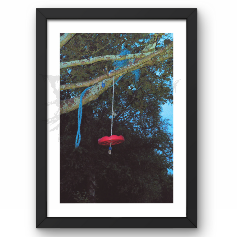 Signs Of Life - Swing A4